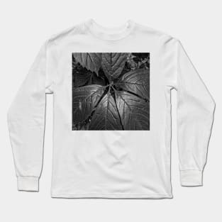 Black and White Big Leaves Long Sleeve T-Shirt